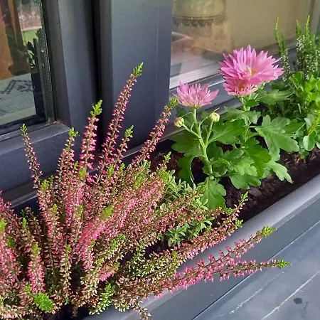 게스트하우스 Turisticka - Turistaszallo Zadiel